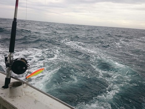 2015 - Hochseefischen - Nordsee - Dänemark