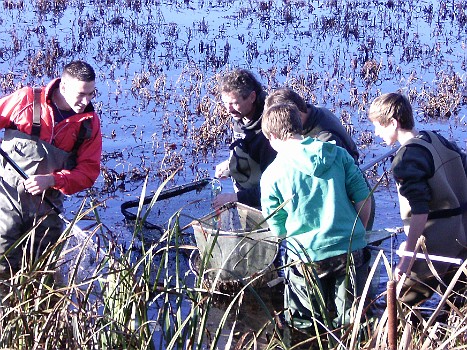 2011 - Abfischen im Biotop - Fischerjugend
