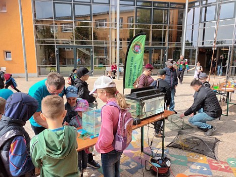 Schulfest der Grundschule Neustadt a.d. Donau - Tag der Vereine
